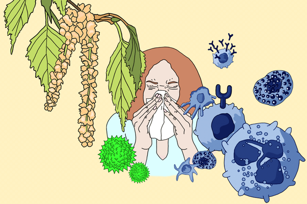 Allergies: When the Immune System Backfires