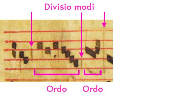 Image of an ordo-line