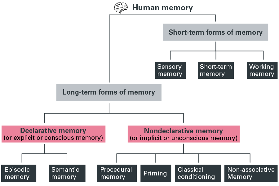 Figure 1: Overview of memory systems