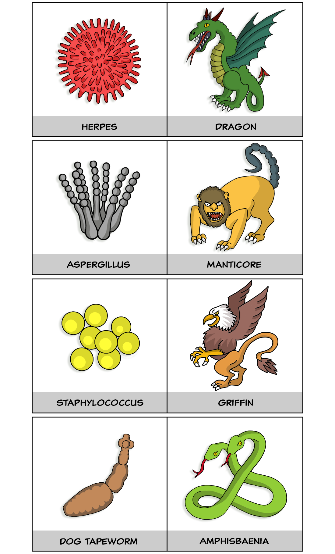 Illustrated herpes and dragon, aspergillus and manticore, staphylococcus and griffin, dog tapeworm and amphisbaenia.