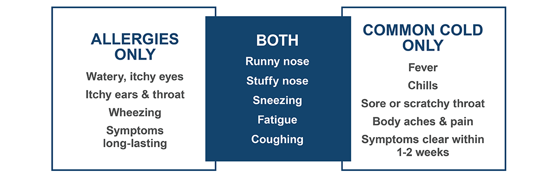 Table comparing symptoms of allergies and common colds. Although both of them have their characteristic symptoms, they share some common symptoms including a runny and stuffy nose, sneezing, fatigue, and coughing.