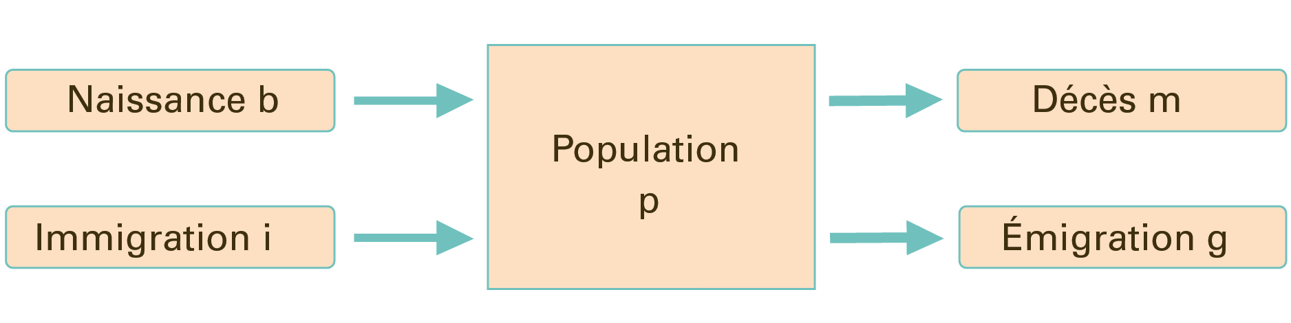 L’image 1 montre que les naissances et l'immigration augmentent le compartiment démographique, tandis que la mort et l'émigration le diminuent.