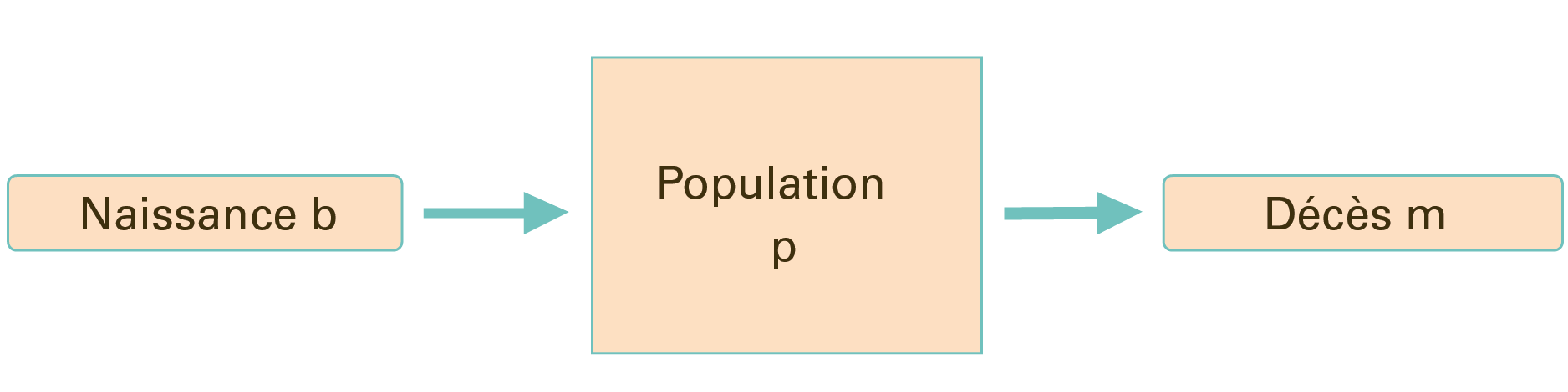 L'image 2 montre la population isolée $$P$$, qui n'augmente qu'avec la naissance et diminue avec la mort parce qu'il n'y a ni immigration ni émigration.