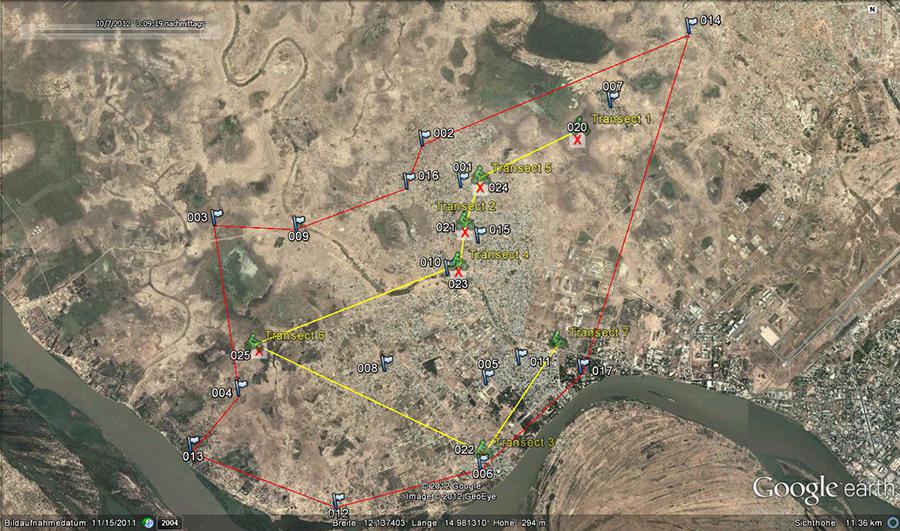 Une image Google earth™ de la ville de N'Djaména avec la bordure extérieure de la zone de vaccination (en rouge) et la ligne transversale aléatoire (en jaune) du 1er arrondissement 1 (Farcha).