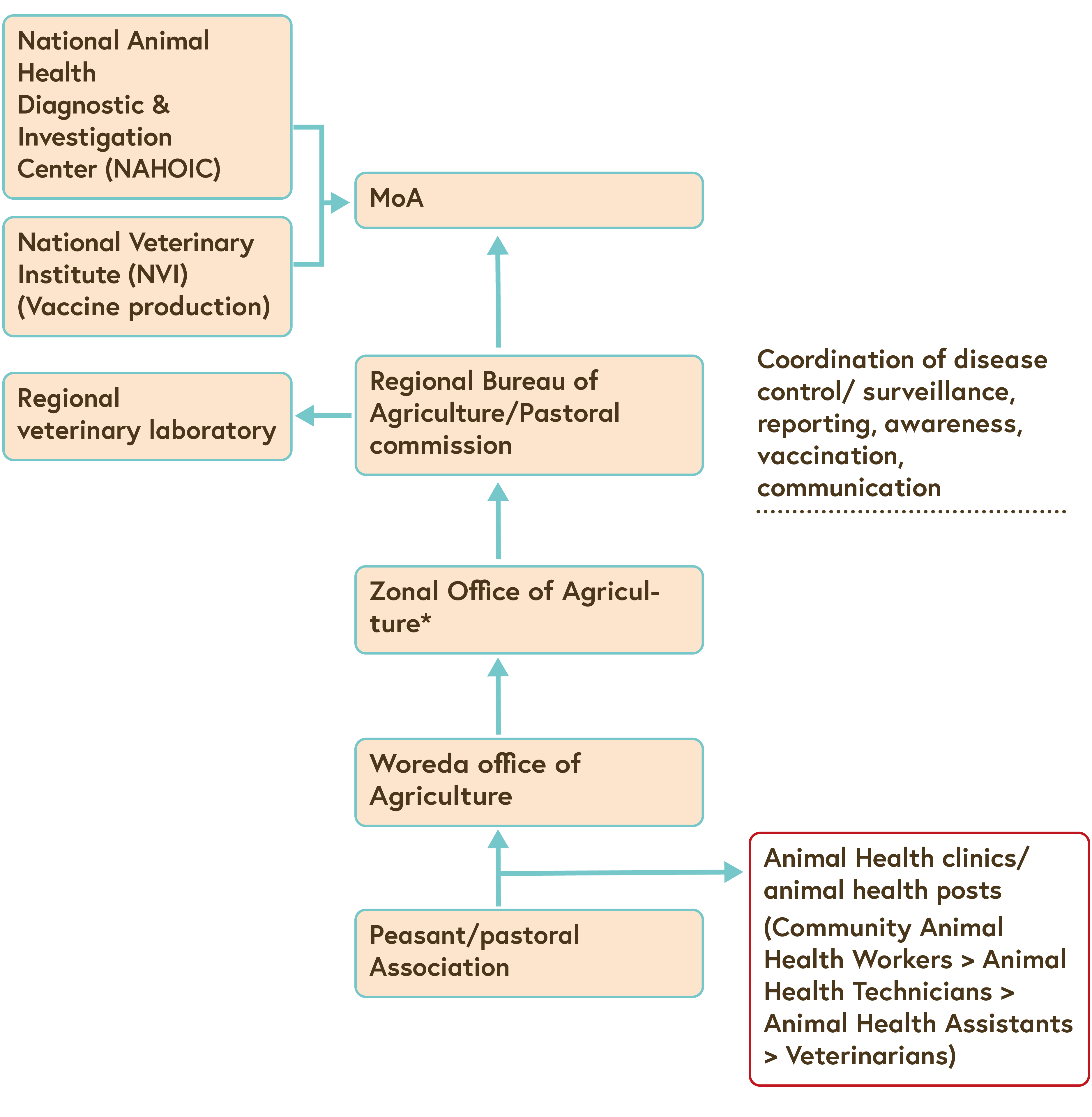 A chart showing the animal health system organisation in Ethiopia).
