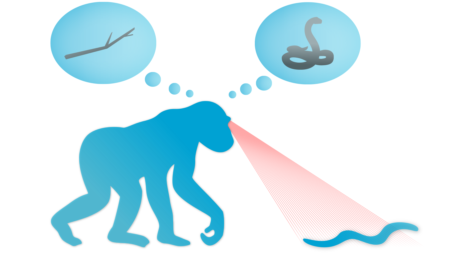 image of ape with stick and snake possibility