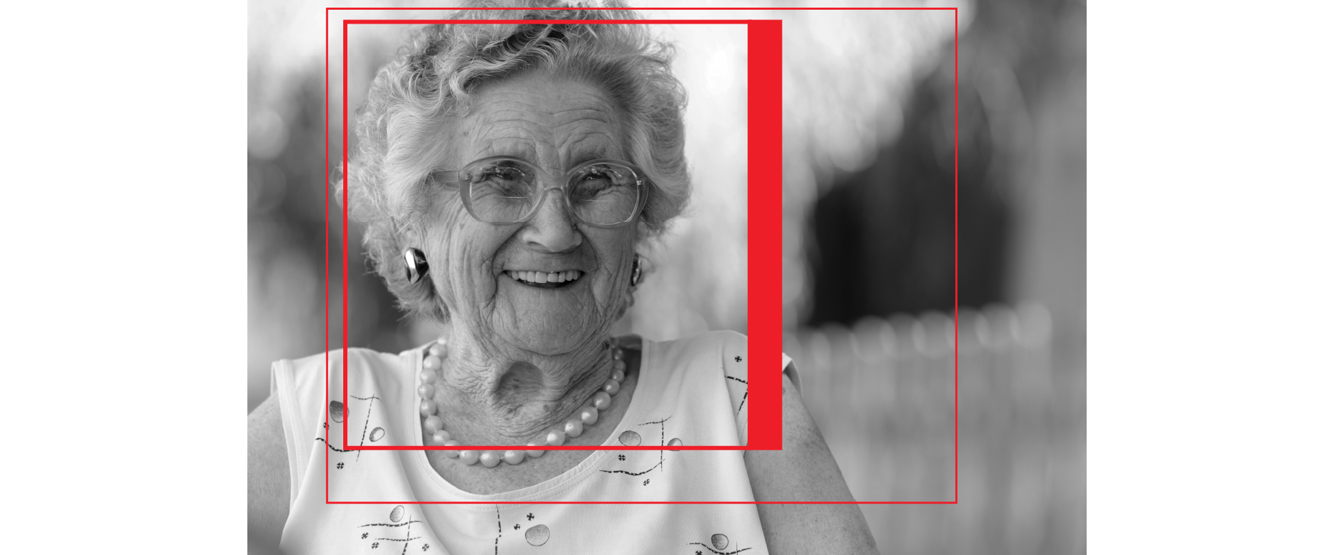 Hubel-Wiesel recording