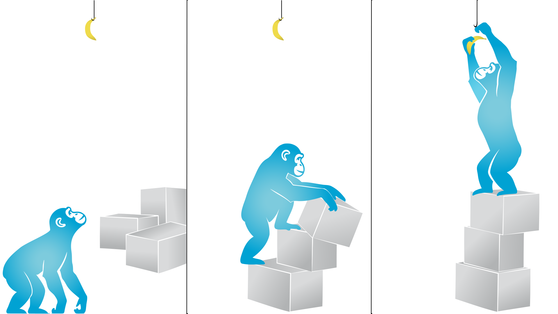 Sultan climbing onto boxes