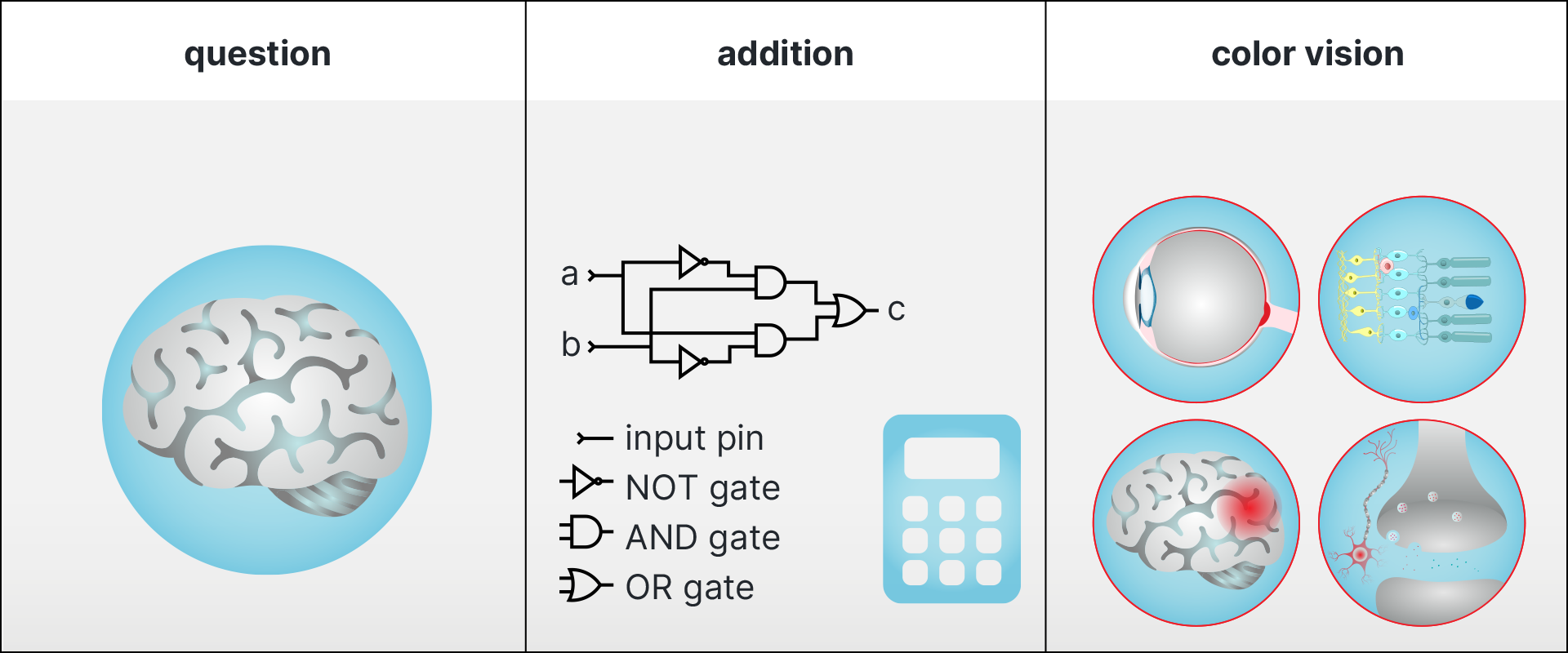 Implementation