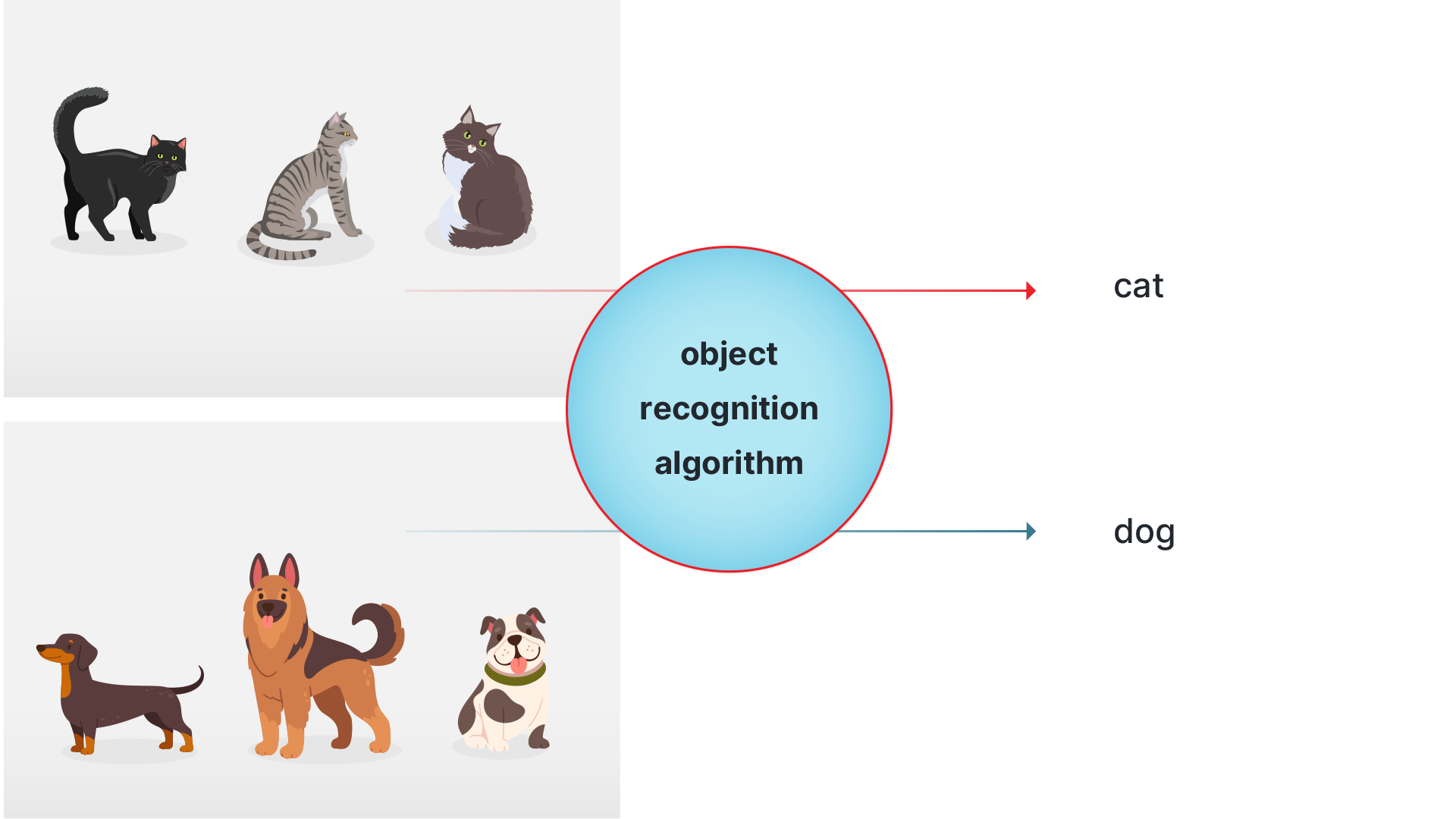 object recognition