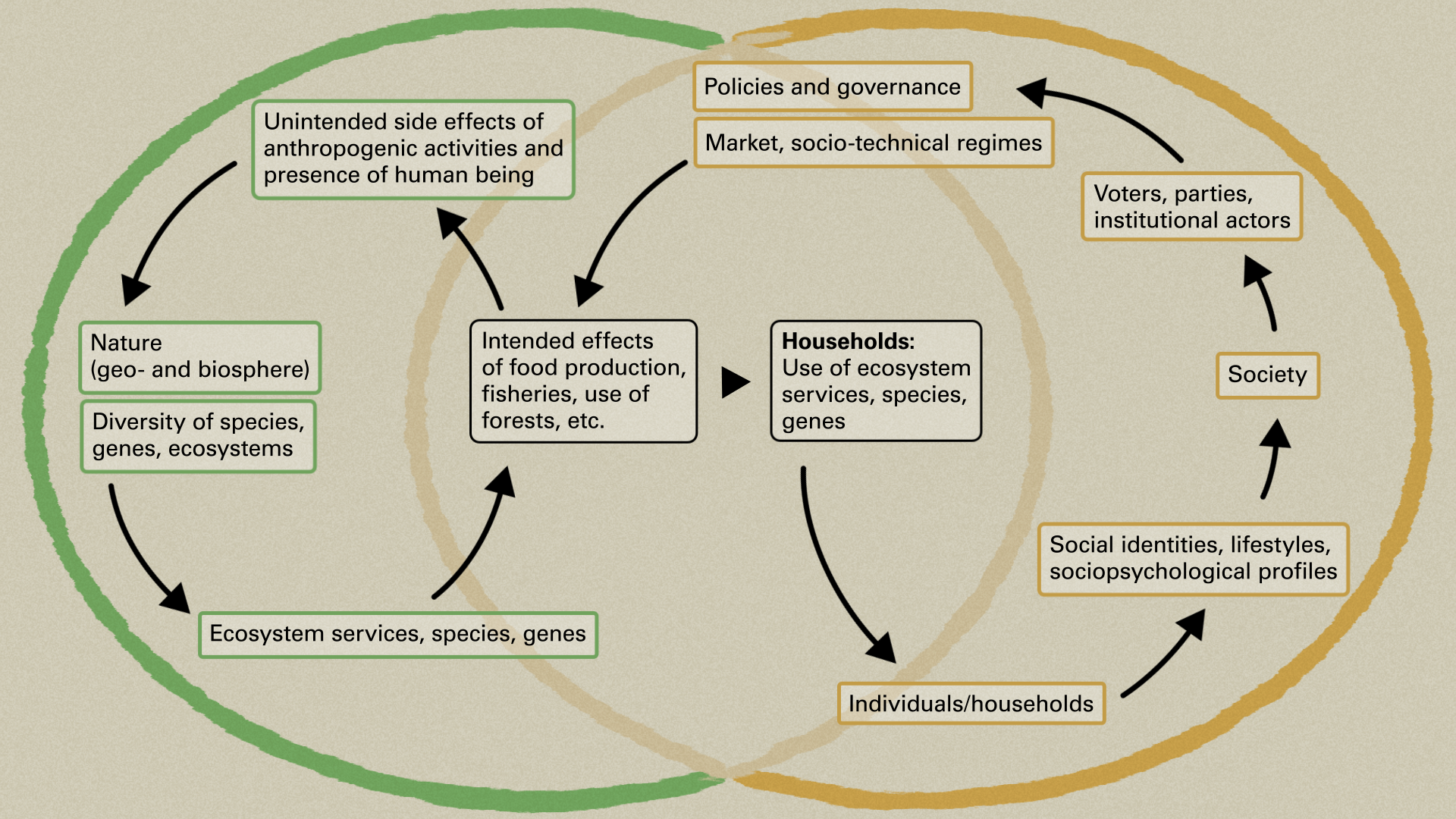 Scheme 1 shows the generic coupled human-nature system applied to the challenge of biodiversity loss.